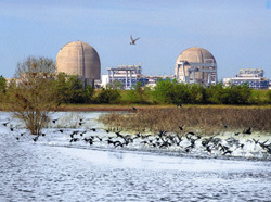 NRC announces new reactor application meeting for South Texas Project site. Courtesy of the NRC