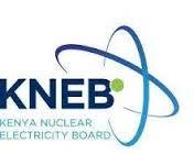 Kenya Nuclear Electricity Board’s Ochilo Ayacko elected chair of AFCONE